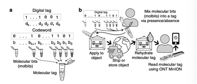 “豪猪”分子标记系统可追踪微小物体_豪猪-序列-物体-